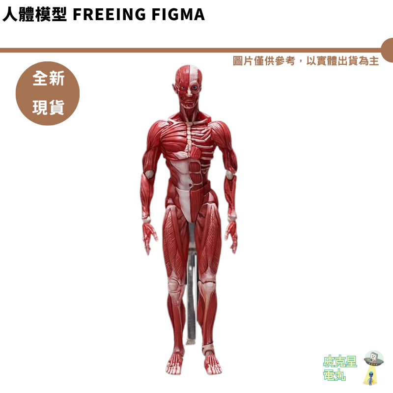 figma人體模型的價格推薦- 2025年2月| 比價比個夠BigGo