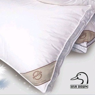👉都會舒眠羽絨枕👈五星級飯店羽絨枕 100％純棉 飯店專用 PA1571 臺灣製 ＭＩＴ 奧斯汀