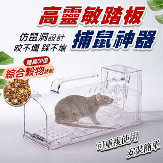 踏板捕鼠器 高靈敏踏板 【附發票】 捕鼠籠 老鼠夾 捕鼠神器 老鼠板 黏鼠板 老鼠藥 捕鼠 補鼠 補鼠器 捕鼠器
