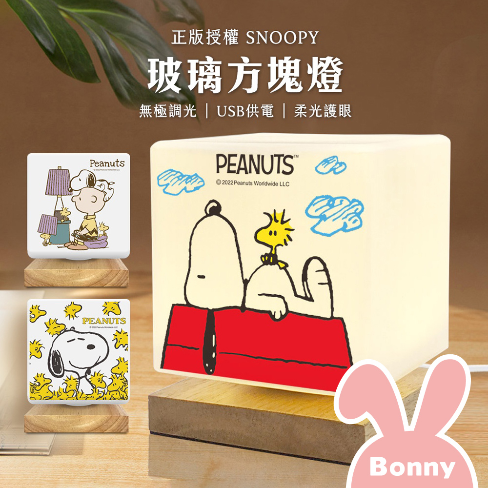 史努比 高質感磨砂玻璃 LED柔光方塊夜燈 天然實木底座 (SNOOPY 正版授權 小夜燈 氣氛燈 桌燈 裝飾燈)