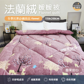 【宜菲】法蘭絨暖暖被 莓果甜心 棉被 加厚 被子 絨毛 法蘭絨毛 蓄溫 保暖 發熱 冬被 厚被子 毯子 毛毯 臺灣製