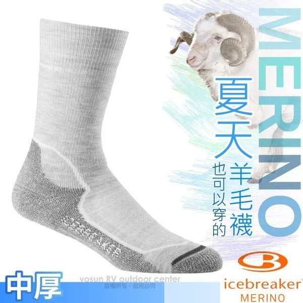 【紐西蘭 Icebreaker】女 款保暖避震中筒美麗諾羊毛襪 Phd Hike+ 登山小腿襪 抗菌運動襪_IBND15