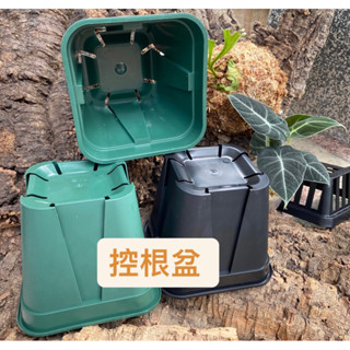 【植感蕨起】控根盆 15*15*深13公分 觀葉植物 蔓綠絨 方盆 玫瑰盆 控根 芙桑盆 青山控根盆 塑膠花盆 種菜盆