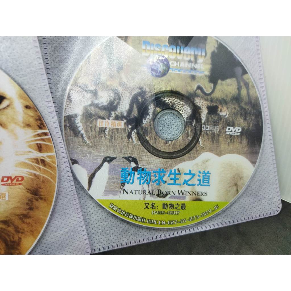 二手DVD裸片DISCOVERY科學探親世界 動物求生之道 又名 動物之道