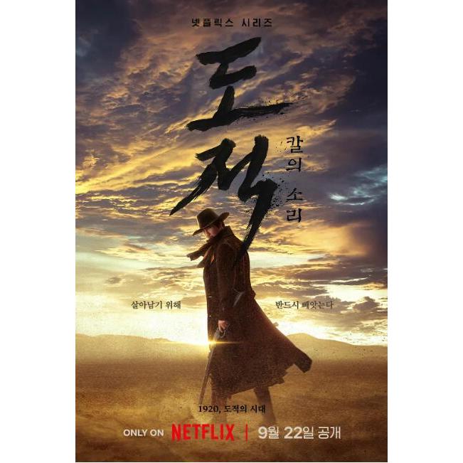 2023韓劇 盜賊之歌/盜賊：刀之聲/盜賊:刀的聲音 DVD 金南佶/徐賢 高清全新盒裝4碟