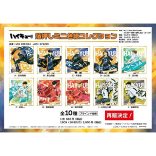排球少年 排球 橫斷幕 隊旗 色紙 影山 日向 月島 山口 及川 巖泉 黑尾 研磨 木兔 赤葦 燙金色紙