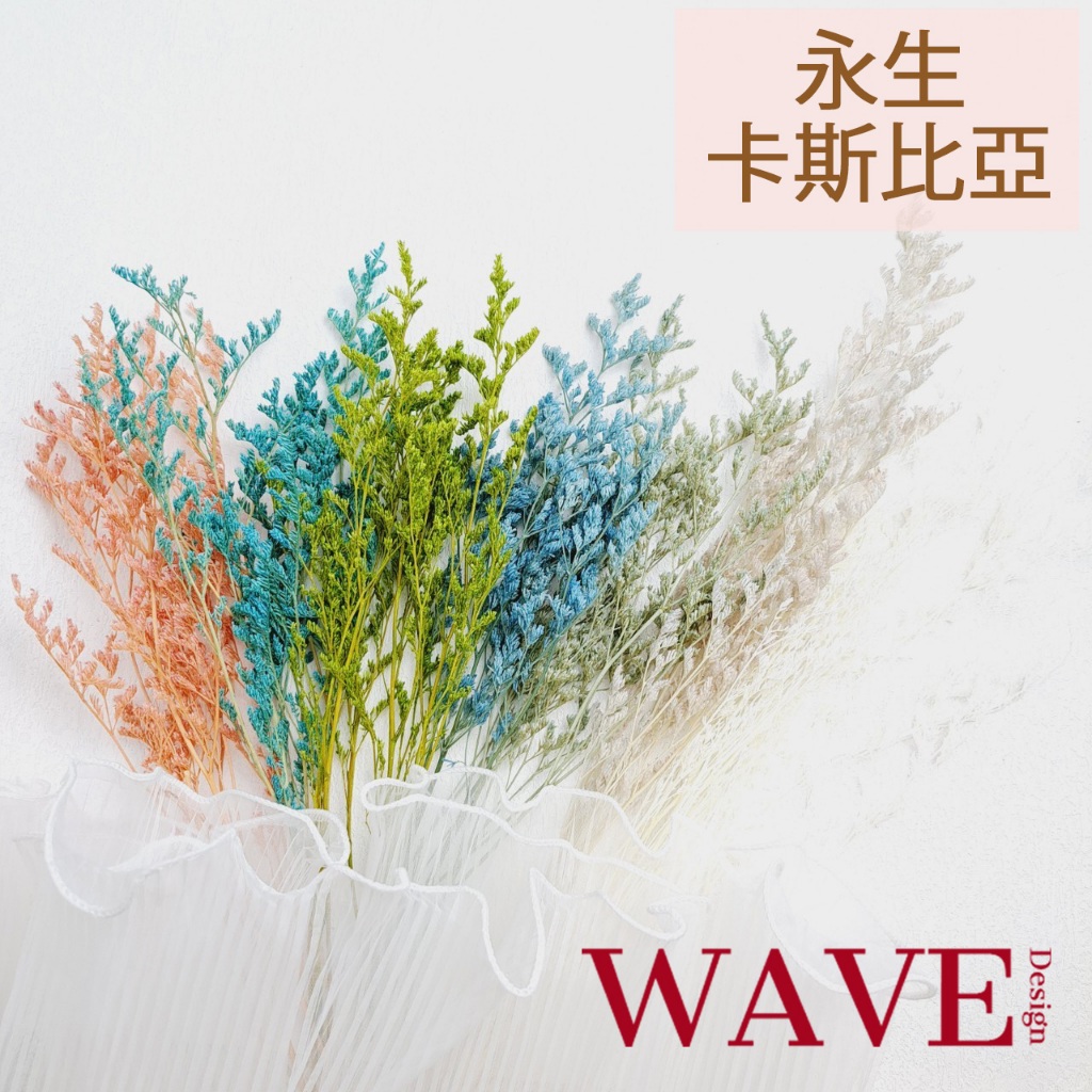 《WAVE Design》永生卡斯比亞 乾燥花材 天然乾燥花 植物果實 花材 花藝材料 拍照道具 永生花 情人草