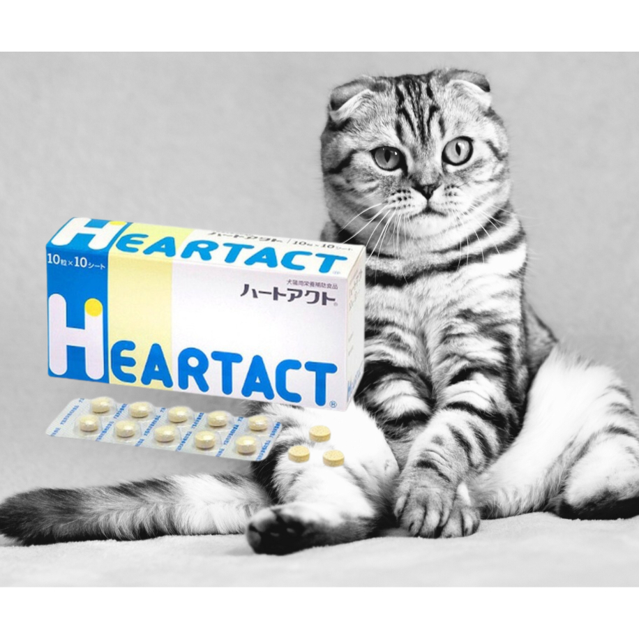 &lt;即期品特價&gt; 日本全藥 HEARTACT 心錠 心臟保養 公司貨