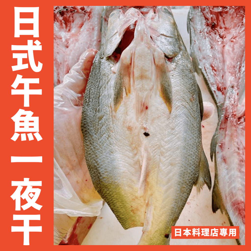 【鮮煮義美食街】日式午魚一夜干每尾200/250g特大尾550/600g/大午魚/燒烤/日本料理/居酒屋