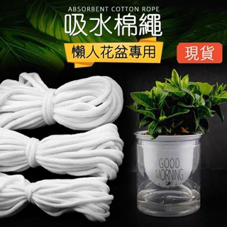 青賢園藝🔥臺灣出貨🔥懶人花盆吸水棉線 吸水棉繩 花卉 水培 自吸水繩 花盆 裝飾 多肉植物 微景觀 盆栽 手作 園藝
