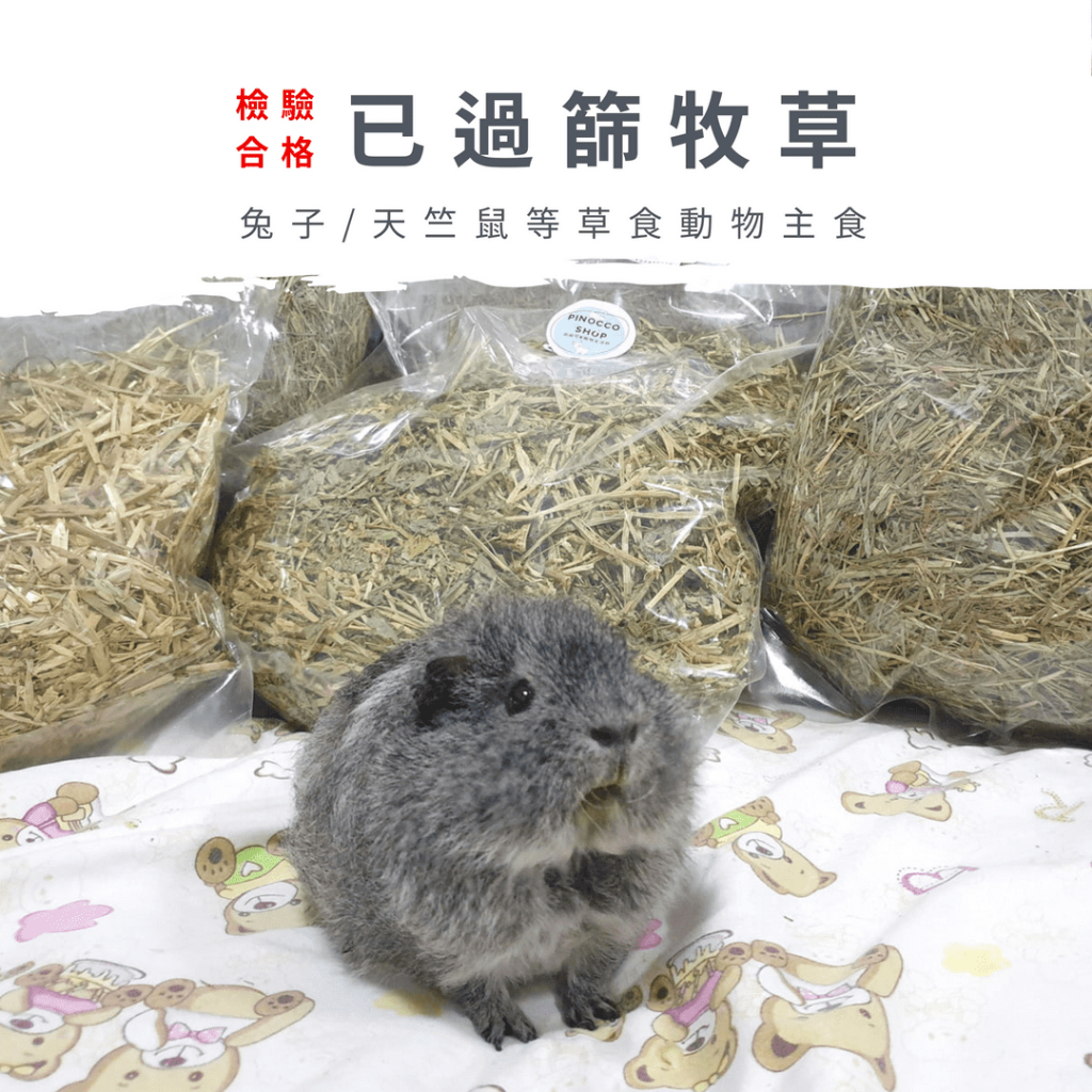 【品諾可】已過篩牧草 提摩西 甜燕麥 苜蓿草 果園草 天竺鼠 兔子 草食動物