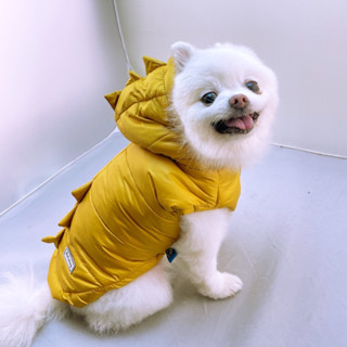 ☛ FAMstore☚現貨 小恐龍造型裝 寵物服飾 貓狗衣 狗衣服 寵物衣物 寵物外套 貓衣服 防風寵物衣