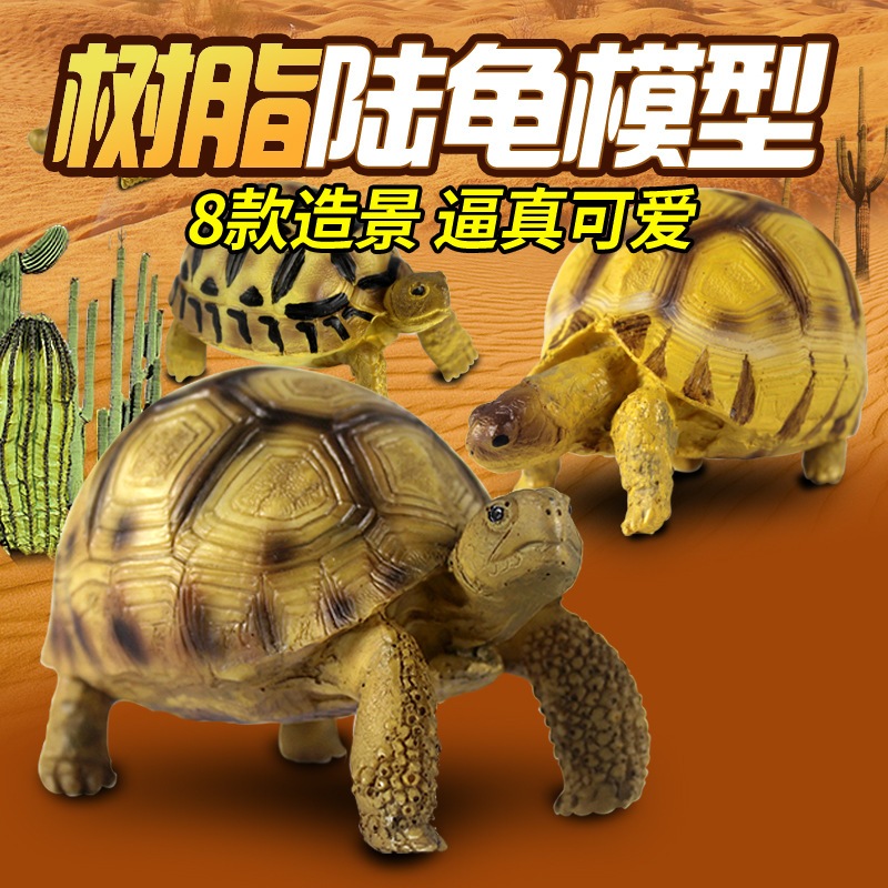 陸龜模型  3D 擬真 公仔 烏龜 象龜 安哥 輻射 蘇卡達 鑽紋 鱷龜 雅達伯拉 餅乾龜