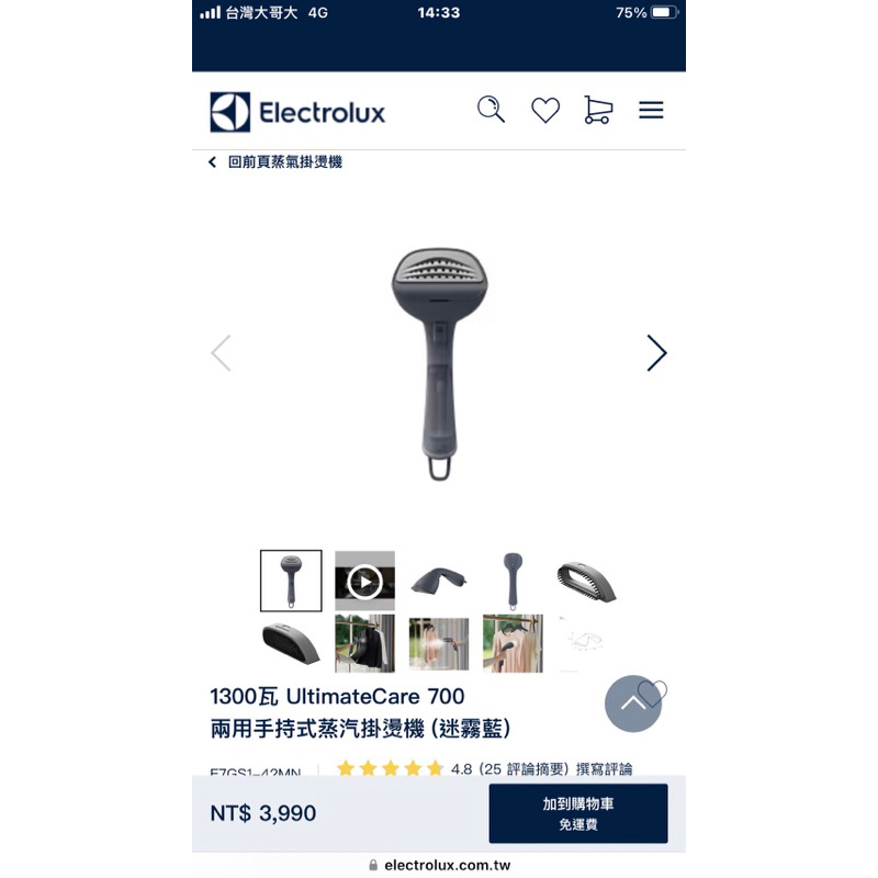 ［降價！！！全新 正品］Electrolux 伊萊克斯 兩用手持式蒸汽掛燙機 迷霧藍