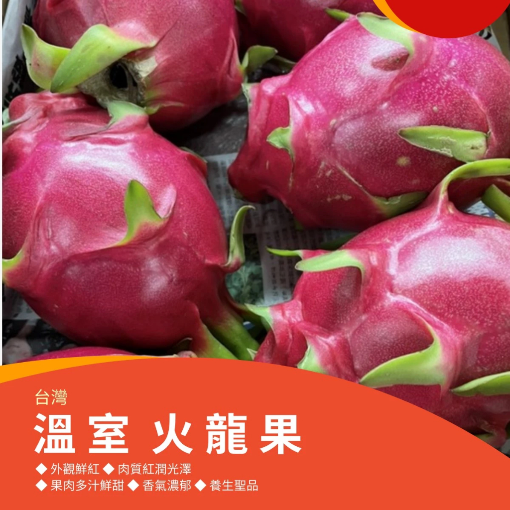 【果物鮮】 台灣 溫室火龍果  (實體店面進口國產新鮮水果 安全放心)