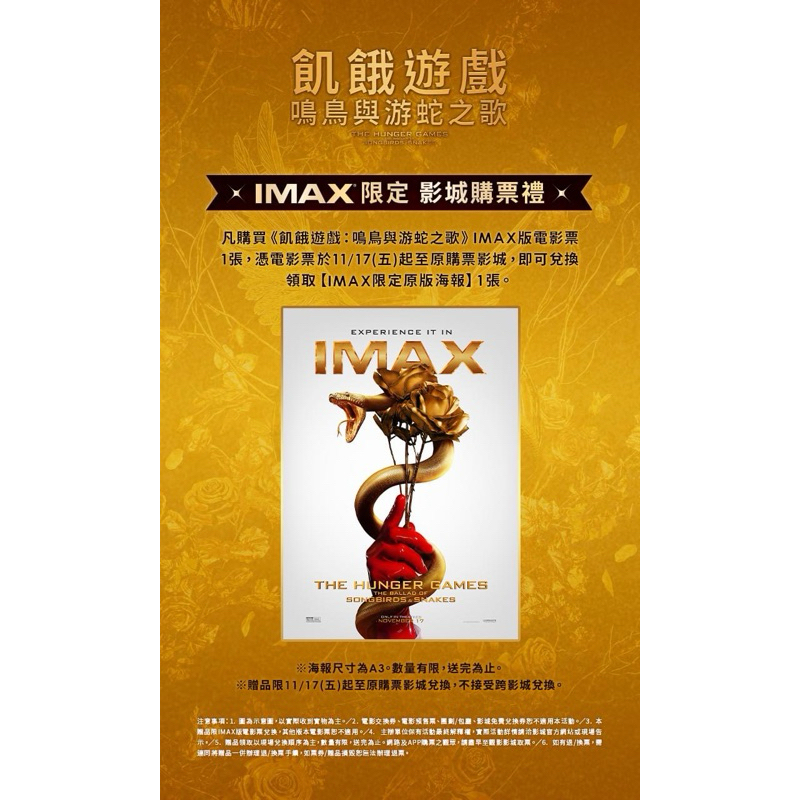 飢餓遊戲-IMAX海報