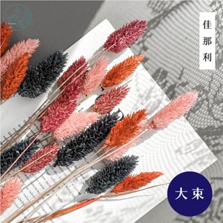 大好屋 臺灣現貨 加納利佳那利大束裝 永生花乾燥花 居家裝飾花材 加納利DIY 批發加納利手作花材 花藝設計 居家佈置