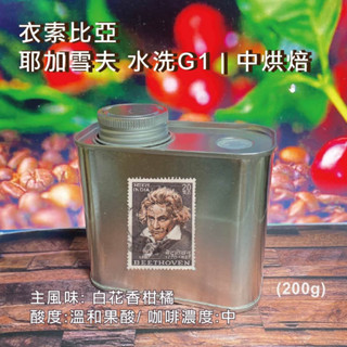 【臺灣自家烘焙】 {衣索比亞 耶加雪夫｝精緻極鮮罐 鐵罐裝 極鮮現磨 SCA烘豆師 專業烘焙 咖啡