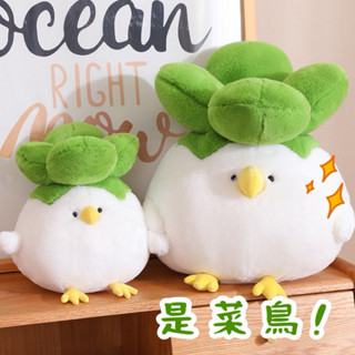B030 現+預✨ 菜鳥 菜雞 白菜 可愛 蔬菜 水果 造型 小雞 小鳥 娃娃 玩偶 抱枕 布偶 毛絨 可愛 療癒