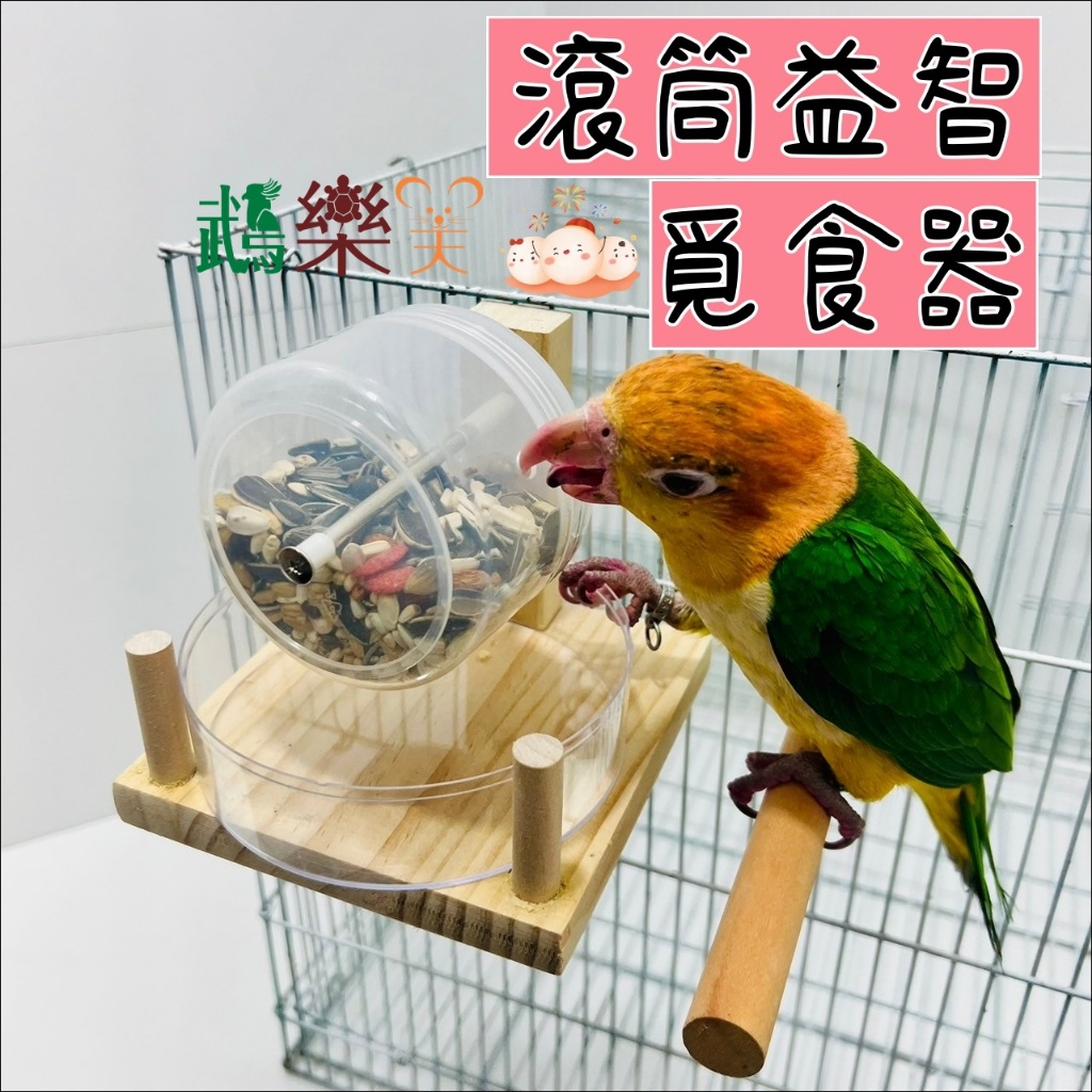 『鵡樂天』滾筒益智覓食器 防潑底盆(6C31)中小型鸚鵡用品自動餵食器飼料盒