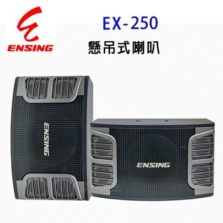 ENSING 燕聲10吋 低音喇叭EX-250 卡拉ok懸吊喇叭 歌唱劇院揚聲器-台灣製造