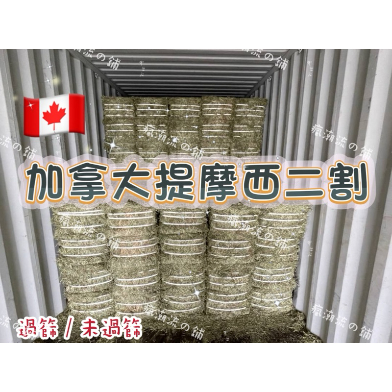 🔥現貨（火速出貨）加拿大 提摩西二割 提摩西草 牧草 兔子草 🍃4🈷️到港