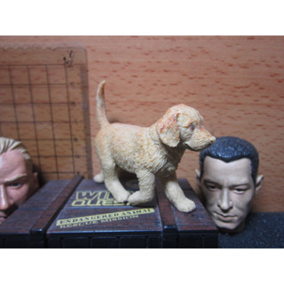Z3動物部門 mini模型1/6黃金獵犬模型一隻(幼犬)