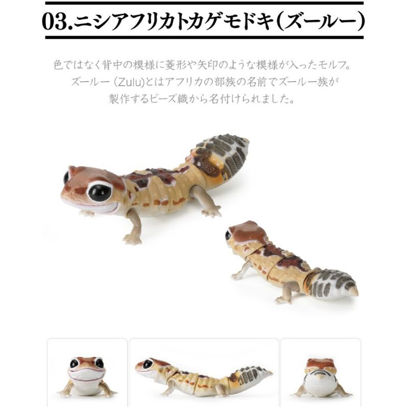 BANDAI 萬代 守宮 肥尾守宮 甲蟲 獨角仙 鍬形蟲 生物 生物大圖鑑 環保扭蛋 扭蛋