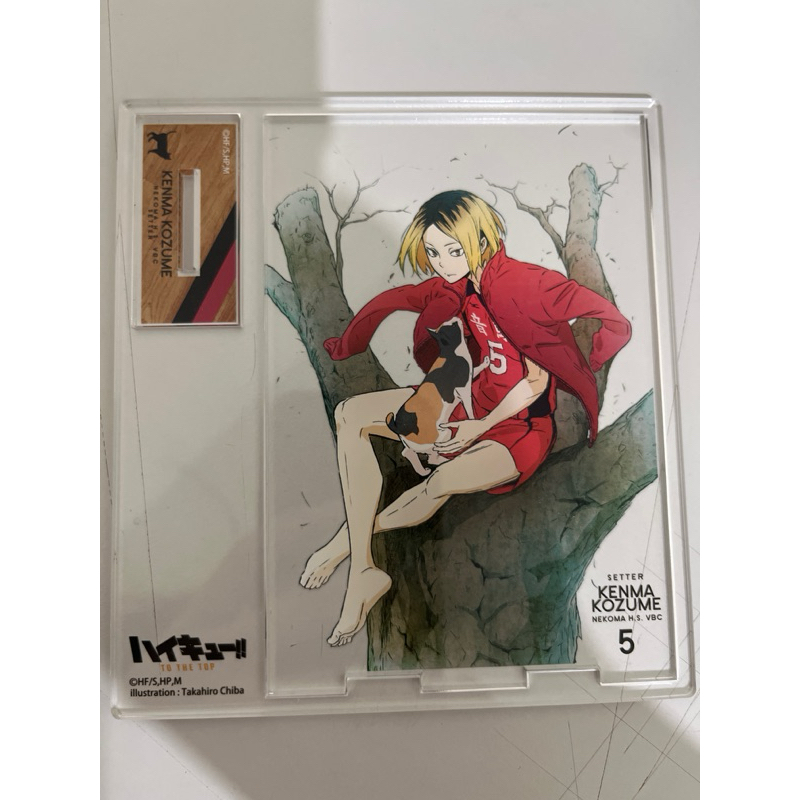 排球少年/研磨裸足立牌/僅拆擺