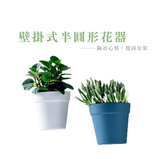 壁掛式塑膠盆栽花器 植物花盆 墻壁陽臺室內牆上盆景 半圓形小花盆 水培花盆 壁掛式收納盒 塑膠花盆 DA163