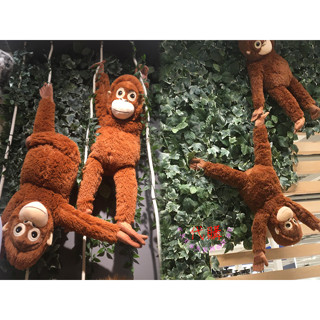 【IKEA】 DJUNGELSKOG 填充玩具, 猩猩 (長度66公分) 柔軟好抱-猩猩抱枕