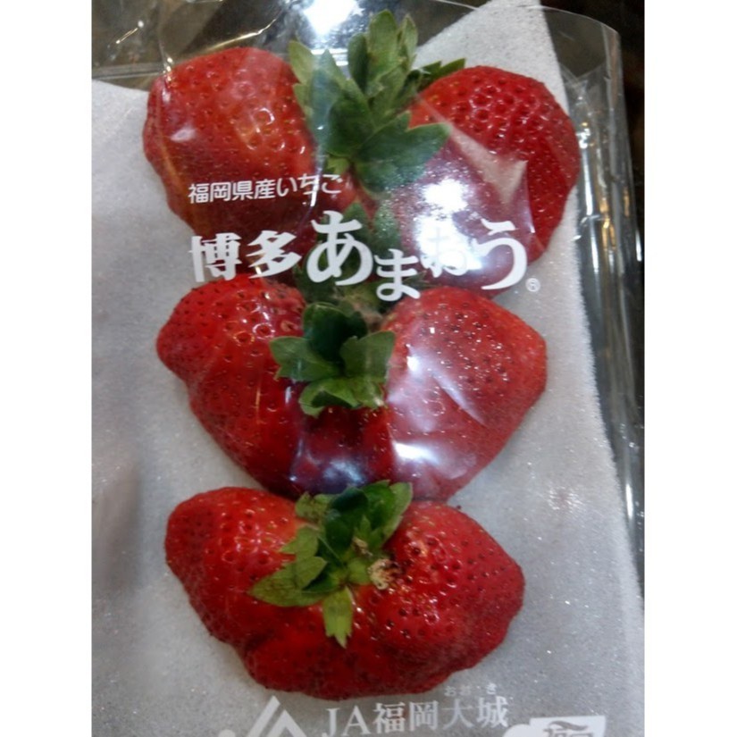 日本草莓.草莓苗. 福岡 博多甘王(あまおう) 草莓種子