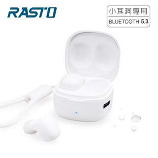 RASTO 小耳洞專用TWS真無線藍牙5.3耳機 藍牙耳機 入耳式藍牙耳機 充電盒藍牙耳機 小耳洞藍牙耳機