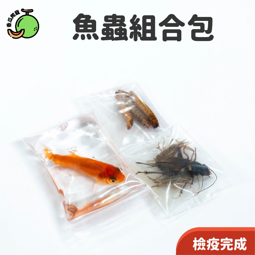 冷凍餌料組合｜魚×蟲｜ 魚🐟+大麥蟲🪱+白蟋蟀🦗【香瓜爬寵】