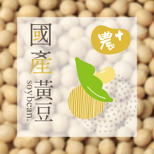 【農+】600g 國產黃豆 ✅現貨