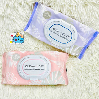 【彼位元】 現貨 韓國🇰🇷 OL:DAM 掀蓋型 可沖式 濕式衛生紙 濕紙巾 潔膚巾 OLDAM 舒潔 萊恩 RYAN