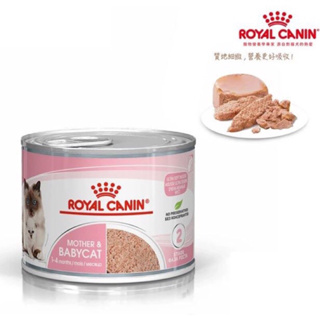 Royal Canin 法國🇫🇷皇家離乳貓罐頭BC34W