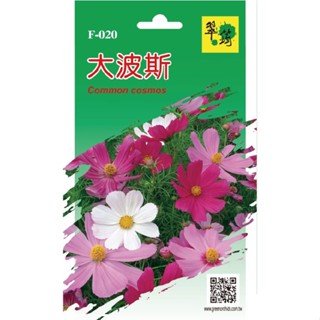【翠筠官方直營】花卉種子E 大波斯/矮牽牛/頭狀雞冠花 種子 種籽 種苗 苗 菜園 菜圃 園藝 花卉 瓜果 香草 葉菜