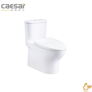 『洗樂適臺南義林店』凱撒衛浴CAESAR 金級省水二段式省水單體馬桶CF1394/1494(管距30/40CM)