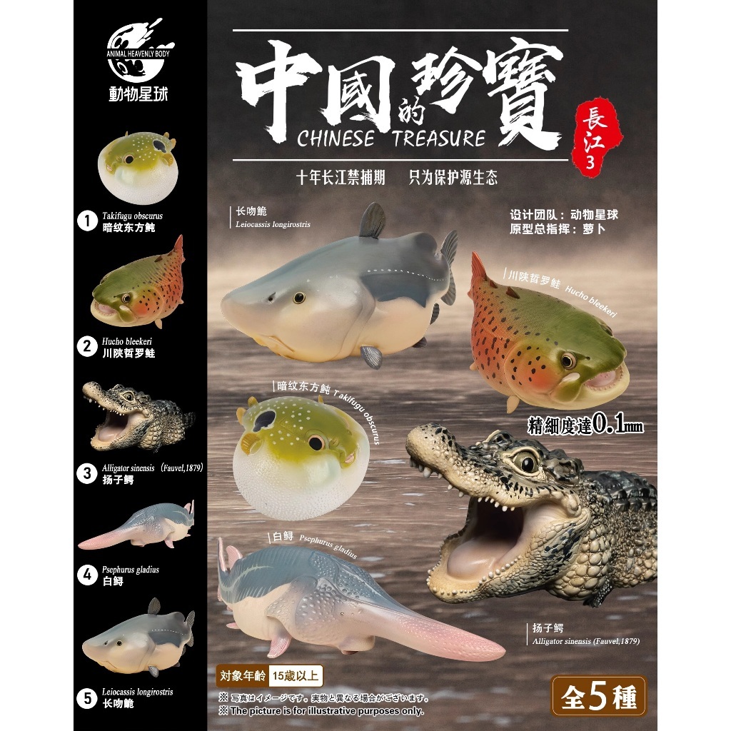 【蒸蒸U.P】動物星球 中國的珍寶系列 第三彈 白鱘 揚子鱷 鮭魚 小動物 模型 公仔 盒玩 盲盒 玩具