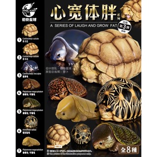 【MOVE】 (現貨) 動物星球 心寬體胖系列 第三彈 龜 vol.2 烏龜 蘇卡達 豬鼻 模型 公仔 盒玩 盲盒 擺飾