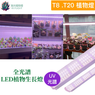 [瑞光植物燈]全光譜植物燈PRO T8/T20 多肉 塊根 龍舌蘭 觀葉 鹿角蕨 上色防徒 燈管