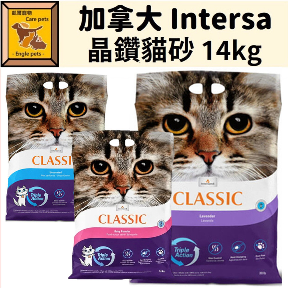 ╟Engle╢ 加拿大 Intersa 晶鑽貓砂超強除臭凝結細貓砂 14kg 嬰兒香 薰衣草 森林香 礦砂 貓砂