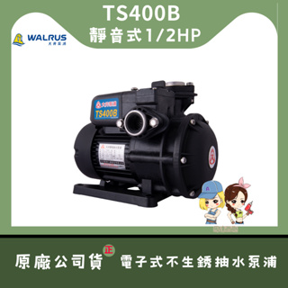 【馬達西施-大井 TS400B】★滿千送百~快來「林口」自取★靜音不生銹 1/2HP 抽水馬達 抽水機 保固一年