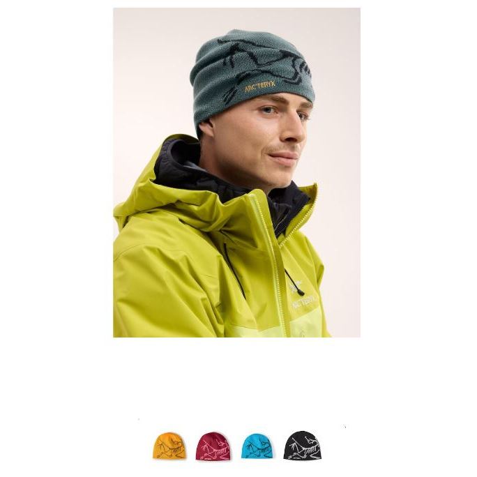 代購 Arcteryx 始祖鳥 BIRD HEAD TOQUE 毛帽