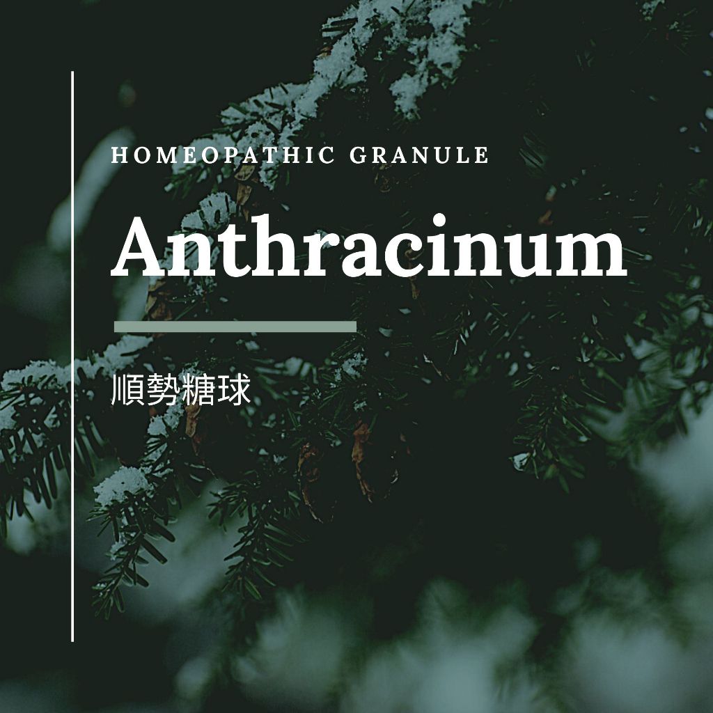 順勢糖球【Anthracinum】（肌膚強健）Homeopathic Granule 9克 食在自在心空間