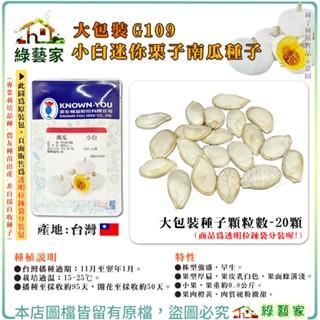 【綠藝家】大包裝G109.小白迷你栗子南瓜種子20顆 早生貝貝南瓜，結果性強，白皮小果之西洋南瓜 果肉橙黃