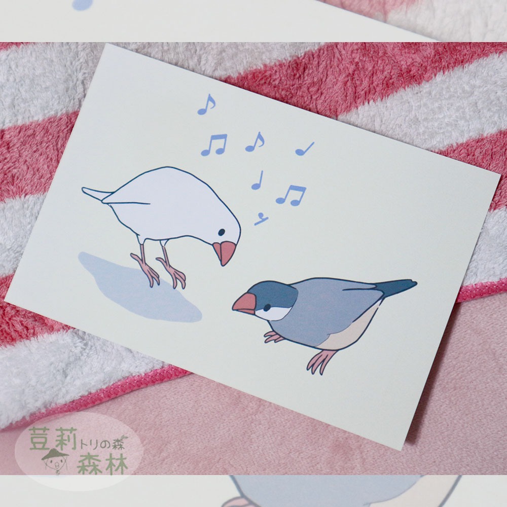 現貨 日本 文鳥明信片 小鳥明信片 小鳥鸚鵡文具雜貨文創 留言卡片 紀念卡 萬用卡 文鳥周邊