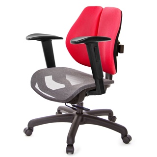 GXG 低雙背網座 工學椅 (升降扶手) TW-2805 E2
