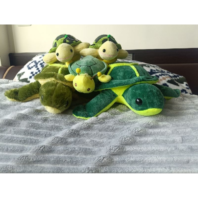[全新現貨]  | 小琉球龜龜 | 海龜 龜蜜 脫殼小龜 娃娃、吊飾
